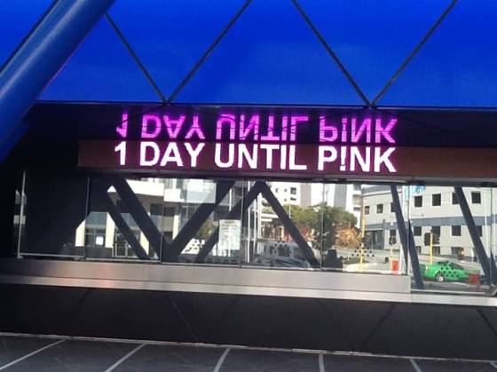 1 day until P!nk!